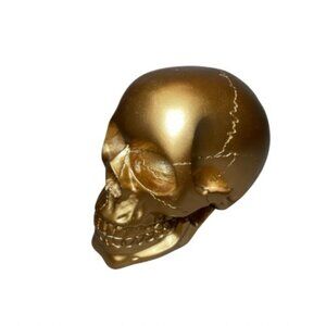 Glamorous Gold Skull Decor | Unique Home Accent | Perfect for Halloween